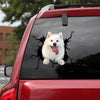 [th0373-snf-tpa]-american-eskimo-crack-car-sticker-dogs-lover