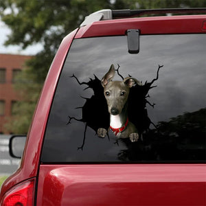 [sk1111-snf-tnt]-greyhound-crack-car-sticker-dogs-lover