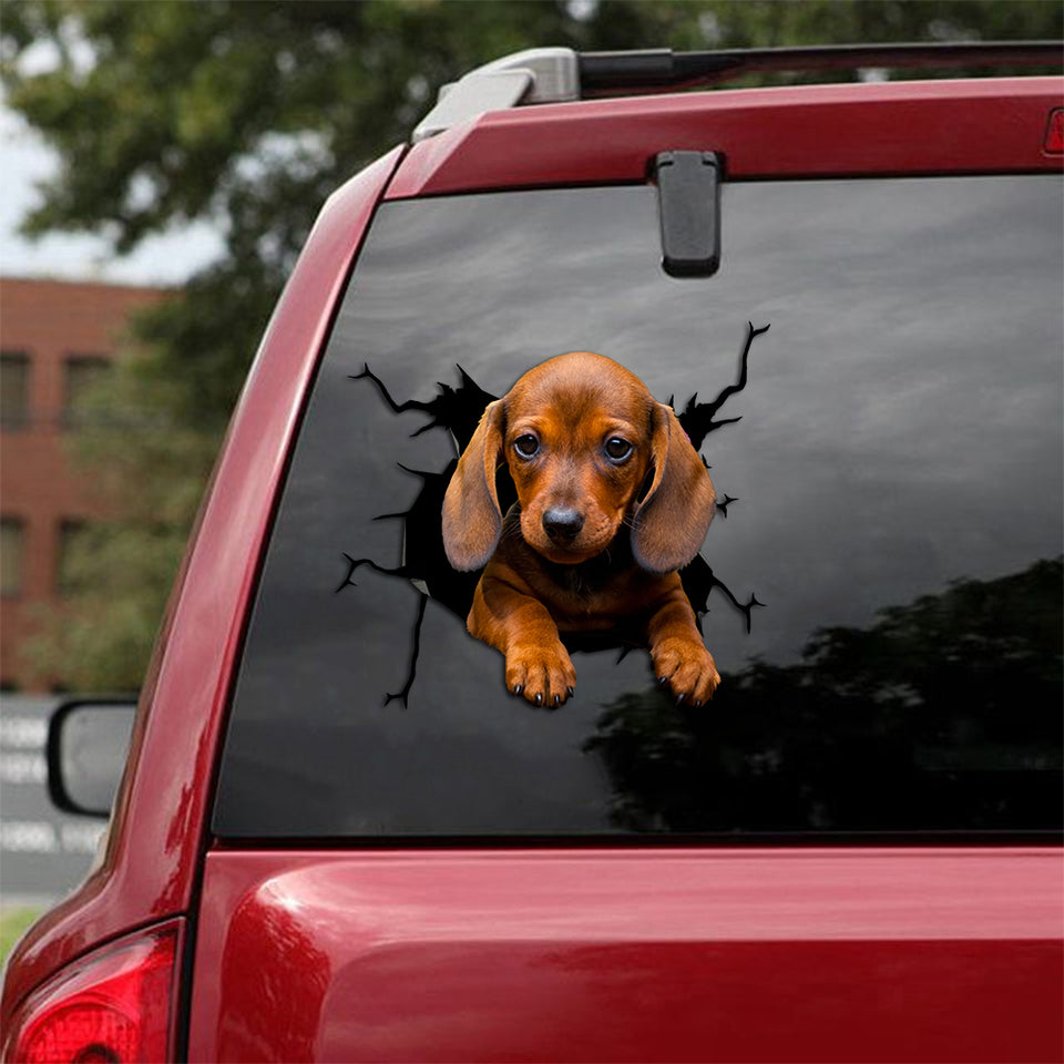 [th0508-snf-ptd]-dachshund-crack-car-sticker-dogs-lover