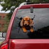 [th0508-snf-ptd]-dachshund-crack-car-sticker-dogs-lover