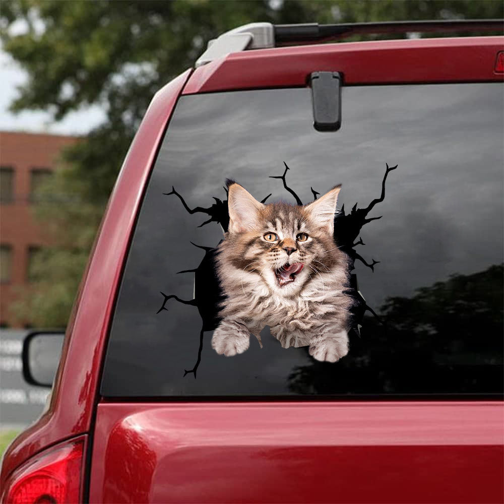 [da0519-snf-tnt]-maine-coon-cat-crack-car-sticker-cats-lover