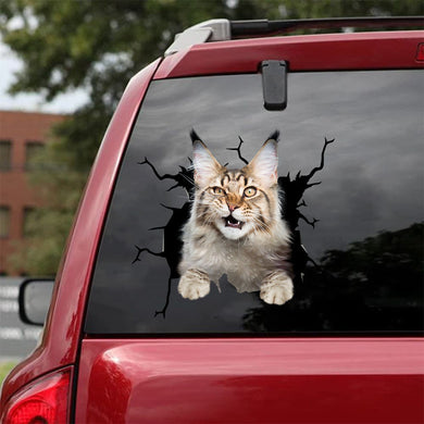 [da0520-snf-tnt]-maine-coon-cat-crack-car-sticker-cats-lover