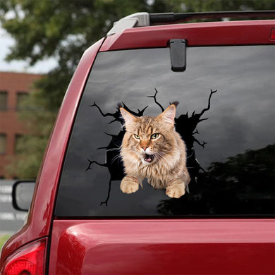 [da0510-snf-tnt]-maine-coon-cat-crack-car-sticker-cats-lover
