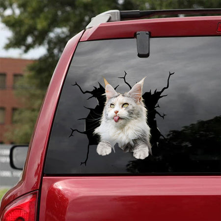 [da0511-snf-tnt]-maine-coon-cat-crack-car-sticker-cats-lover