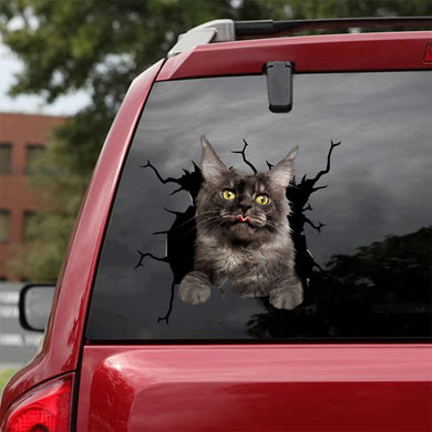[da0512-snf-tnt]-maine-coon-cat-crack-car-sticker-cats-lover