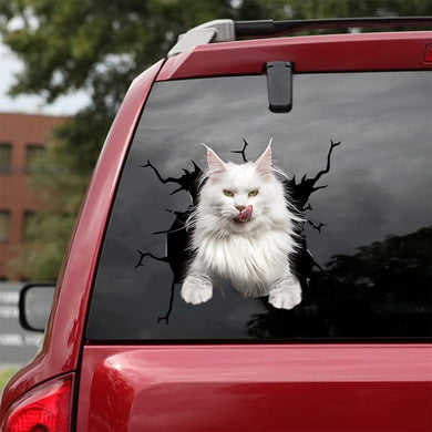 [da0513-snf-tnt]-maine-coon-cat-crack-car-sticker-cats-lover