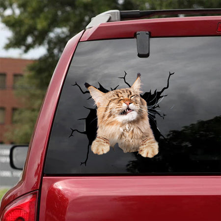 Maine Coon Cat Crack Decals For Cars Funny Custom Sticker Maker Gifts For Mom