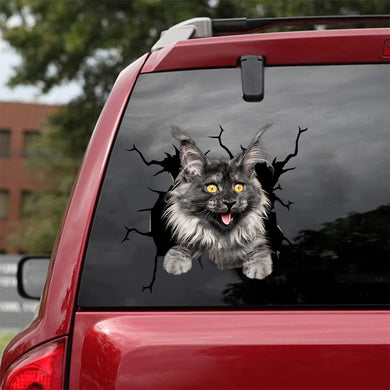 [da0515-snf-tnt]-maine-coon-cat-crack-car-sticker-cats-lover