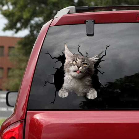[da0516-snf-tnt]-maine-coon-cat-crack-car-sticker-cats-lover