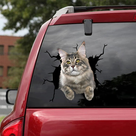 [da0517-snf-tnt]-maine-coon-cat-crack-car-sticker-cats-lover