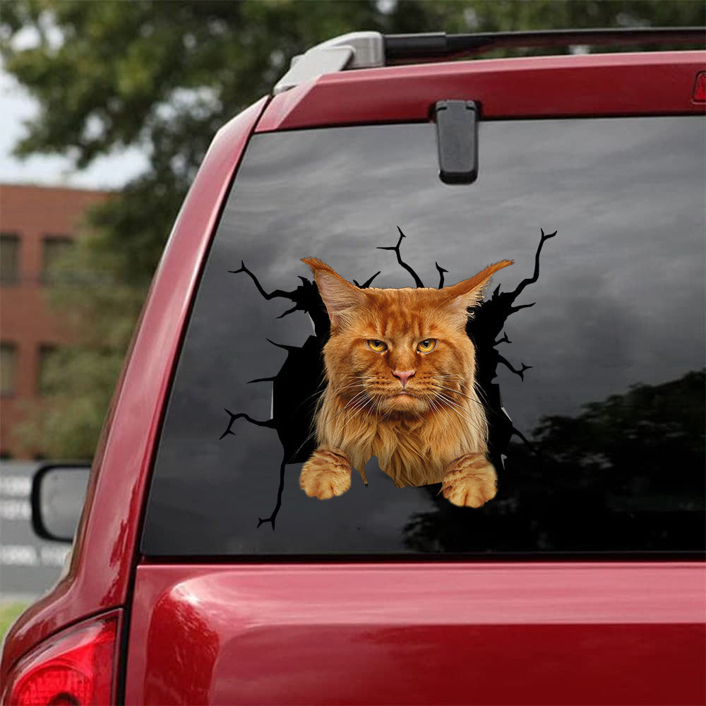 [da0518-snf-tnt]-maine-coon-cat-crack-car-sticker-cats-lover