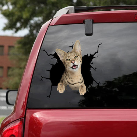 [da0716-snf-tnt]-savannah-crack-car-sticker-cats-lover
