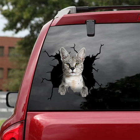 [da0717-snf-tnt]-savannah-crack-car-sticker-cats-lover