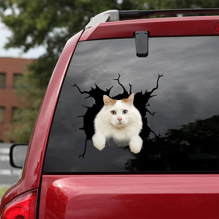 [da0607-snf-tnt]-turkish-van-cat-crack-car-sticker-cats-lover