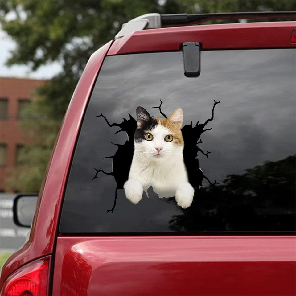 [da0609-snf-tnt]-turkish-van-cat-crack-car-sticker-cats-lover