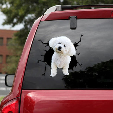 [th0500-snf-tpa]-bichon-frise-crack-car-sticker-dogs-lover