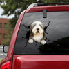 [th0485-snf-tpa]-old-english-sheepdog-crack-car-sticker-dogs-lover
