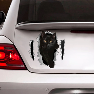[sk1158-snf-ptd]-black-cat-crack-sticker-cats-lover