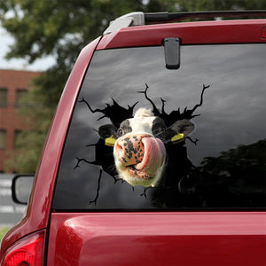 [sk1059-snf-lad]-funny-cow-car-sticker-animals-lover