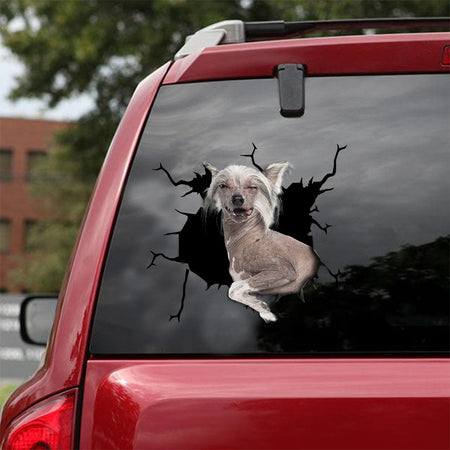 [ld0634-snf-lad]-chinese-crested-crack-car-sticker-dogs-lover