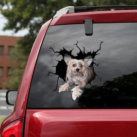 [ld0635-snf-lad]-chinese-crested-crack-car-sticker-dogs-lover