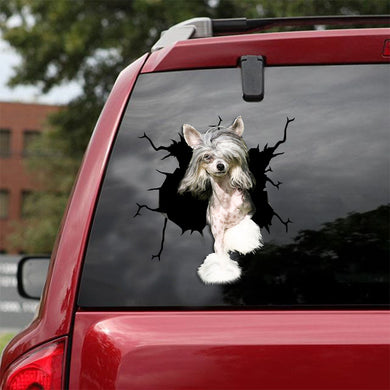 [ld0636-snf-lad]-chinese-crested-crack-car-sticker-dogs-lover