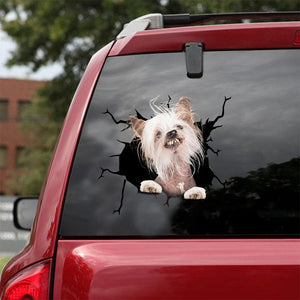 [ld0637-snf-lad]-chinese-crested-crack-car-sticker-dogs-lover