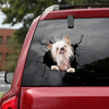 [ld0637-snf-lad]-chinese-crested-crack-car-sticker-dogs-lover