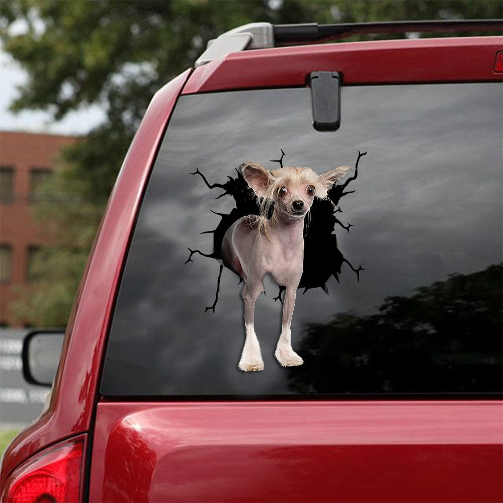 [ld0638-snf-lad]-chinese-crested-crack-car-sticker-dogs-lover