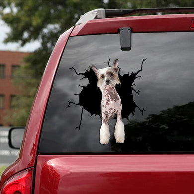 [ld0639-snf-lad]-chinese-crested-crack-car-sticker-dogs-lover