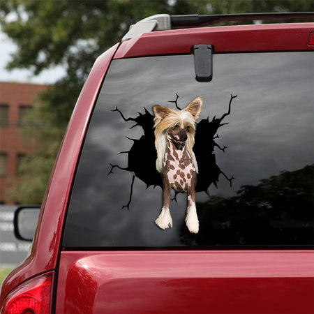 [ld0640-snf-lad]-chinese-crested-crack-car-sticker-dogs-lover