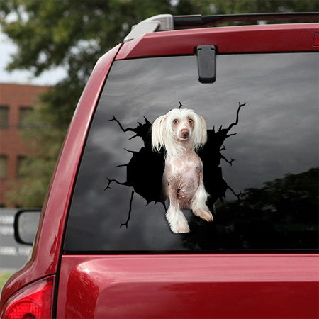 [ld0641-snf-lad]-chinese-crested-crack-car-sticker-dogs-lover