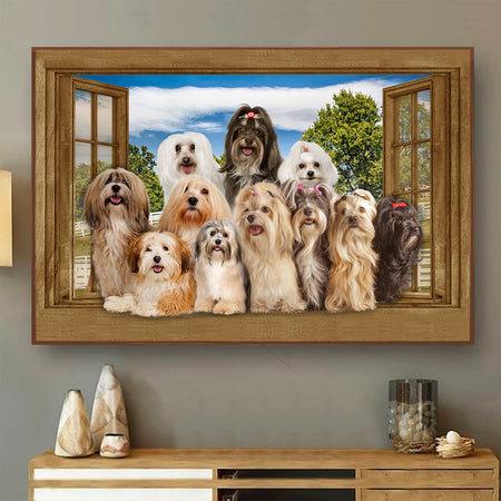 [ld0679-snf-lad]-havanese-poster-dogs-lover