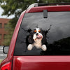 [da0536-snf-tpa]-cavalier-king-charles-crack-car-sticker-dogs-lover