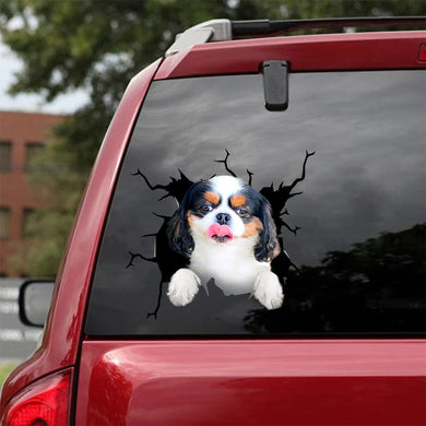 [da0537-snf-tpa]-cavalier-king-charles-crack-car-sticker-dogs-lover