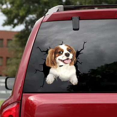 [da0538-snf-tpa]-cavalier-king-charles-crack-car-sticker-dogs-lover
