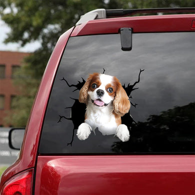[da0539-snf-tpa]-cavalier-king-charles-crack-car-sticker-dogs-lover