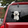 [sk1104-snf-tnt]-white-poodle-crack-car-sticker-dogs-lover