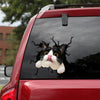 [sk1085-snf-tpa]-funny-tuxedo-cat-crack-car-sticker-cats-lover