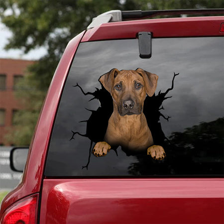 [da0030-snf-tnt]-rhodesian-ridgeback-crack-car-sticker-dogs-lover