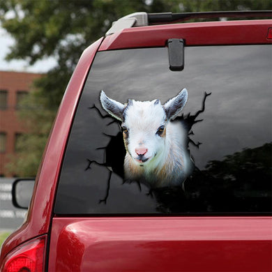 [th0069-snf-tpa]-pygmy-goat-crack-car-sticker-cattle-lover