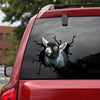 [th0065-snf-tpa]-pygmy-goat-crack-car-sticker-cattle-lover