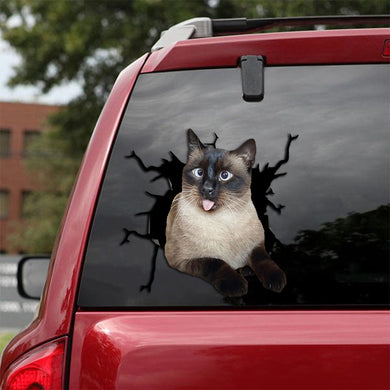 [th0071-snf-tpa]-siamese-cat-crack-car-sticker-cats-lover