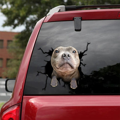 [th0092-snf-tpa]-staffordshire-bull-terrier-crack-car-sticker-dogs-lover