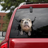 [th0092-snf-tpa]-staffordshire-bull-terrier-crack-car-sticker-dogs-lover