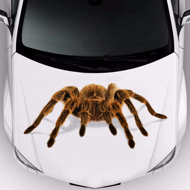 [th0502-snf-ptd]-giant-spider-3d-crack-car-sticker