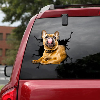 [th0523-snf-tpa]-frenchie-crack-car-sticker-dogs-lover