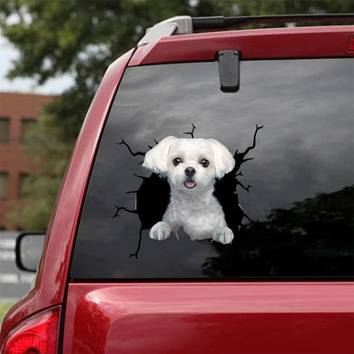 [da0521-snf-tpa]-maltese-crack-car-sticker-dogs-lover