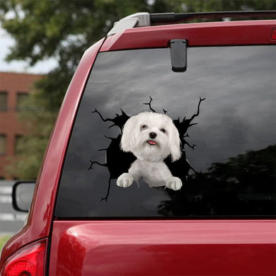 [da0523-snf-tpa]-maltese-crack-car-sticker-dogs-lover