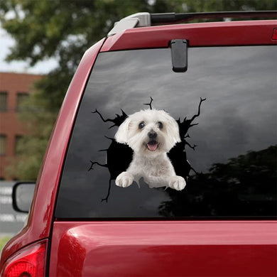 [da0525-snf-tpa]-maltese-crack-car-sticker-dogs-lover